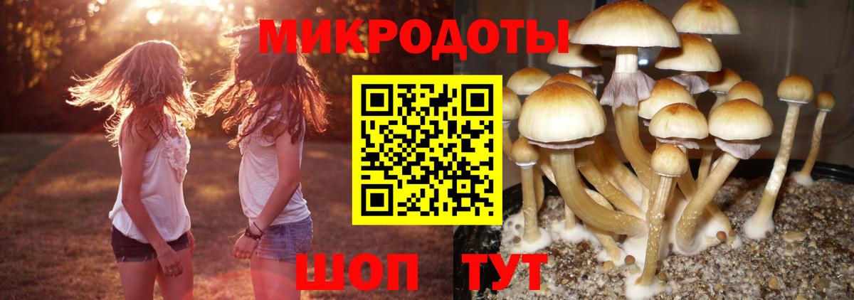 Заинск  Галлюциногенные грибы GOLDEN TEACHER  Вход с VPN 